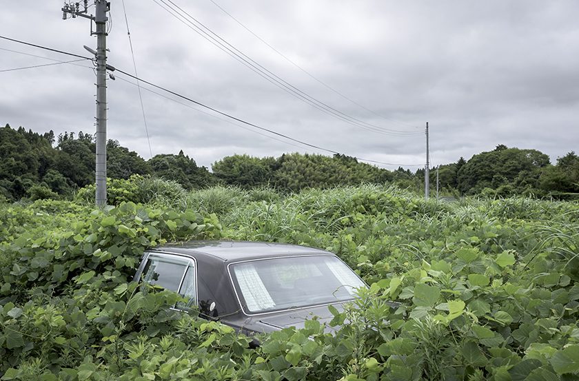 Retracing our steps, Fukushima exclusion zone