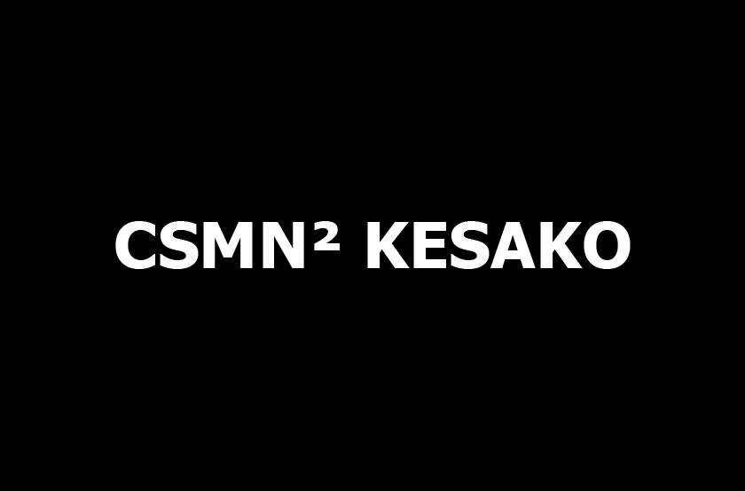 CSMN² KESAKO | La stéréo ça démarre tôt, mais y’a des fois ça rend marteau