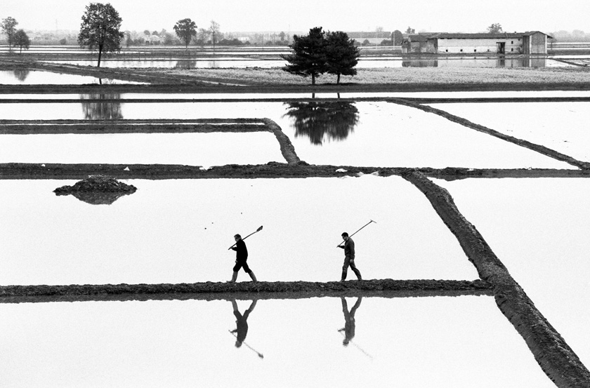 Berengo Gardin Gianni  - Une anthologie