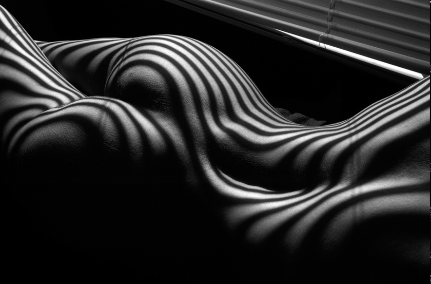 Lucien Clergue | Nus Zébrés