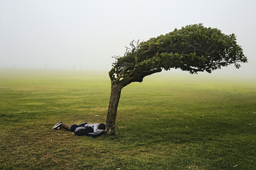 Pieter Hugo | Kin