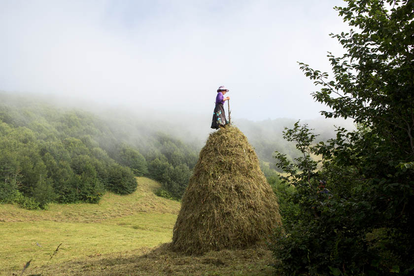 Grigalashvili Natela - The final days of Georgian Nomads