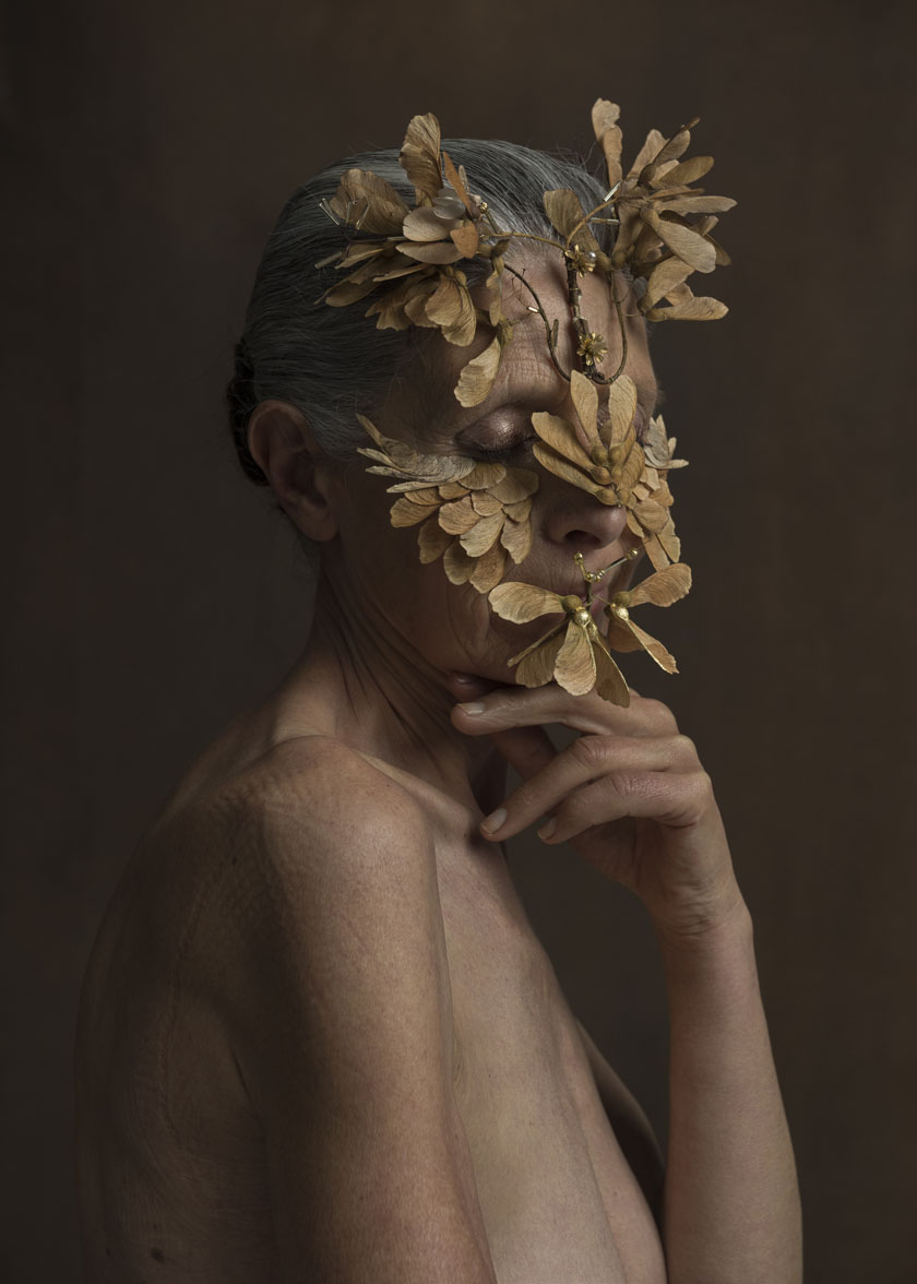 Chapuis Isabelle - Ailées