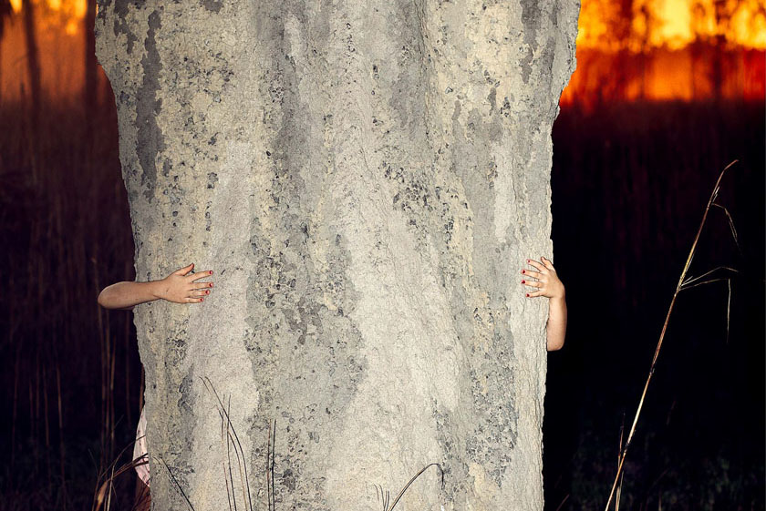 Liss Fenwick | Humpty Doom