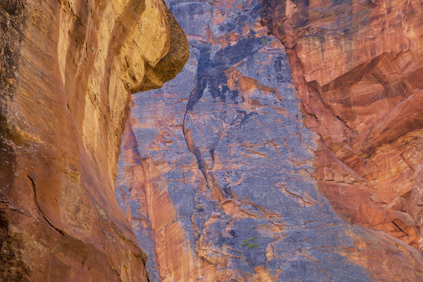 Gall Sally - Vertical Worlds