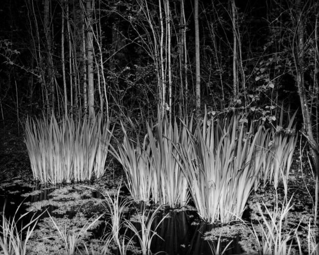 .
Graflex Speed Graphic
Kodak Tri-X 320
Rodinal

#baad5eed #ishotfilm #analogphotography #grainisgood #bnwzone #bnw_switzerland #bnwphotography #bnw_magazine #bnwawards #filmbnw #filmphotomag #infilmwetrust #filmisnotdead #filmisbetter #blackandwhitephotographymag #shotitwithfilm #theanalogclub #deepblackmag #monochrome #monochromatic #monochromephotography #argentique #blackandwhitephotography #bnw #blackandwhite #photography #photooftheday #bnw_captures #schwarzweissfotografie #NDLP26