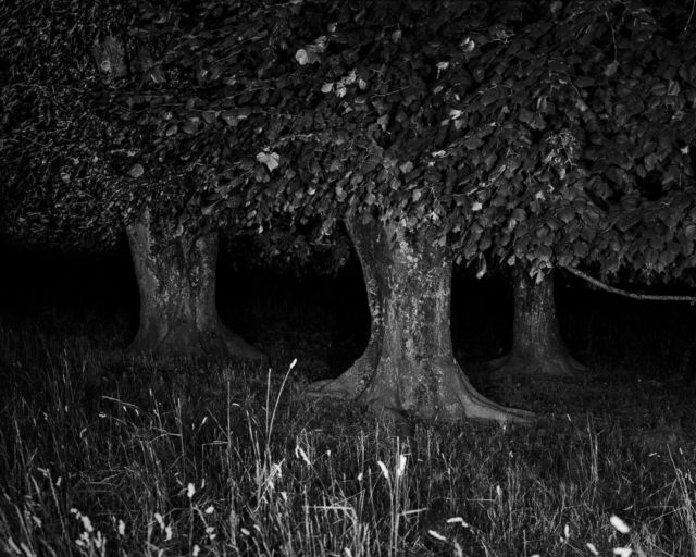 .
Graflex Speed Graphic
Adox CHS 100 II
Rodinal

#baad5eed #ishotfilm #analogphotography #grainisgood #bnwzone #bnw_switzerland #bnwphotography #bnw_magazine #bnwawards #filmbnw #filmphotomag #infilmwetrust #filmisnotdead #filmisbetter #blackandwhitephotographymag #shotitwithfilm #theanalogclub #deepblackmag #monochrome #monochromatic #monochromephotography #argentique #blackandwhitephotography #bnw #blackandwhite #photography #photooftheday #bnw_captures #schwarzweissfotografie #NDLP26