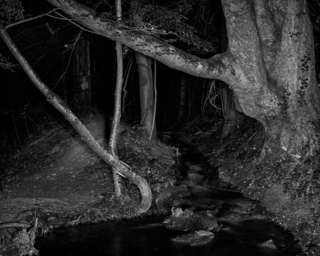 .
Graflex Speed Graphic
Adox CHS 100 II
Rodinal

#baad5eed #ishotfilm #analogphotography #grainisgood #bnwzone #bnw_switzerland #bnwphotography #bnw_magazine #bnwawards #filmbnw #filmphotomag #infilmwetrust #filmisnotdead #filmisbetter #blackandwhitephotographymag #shotitwithfilm #theanalogclub #deepblackmag #monochrome #monochromatic #monochromephotography #argentique #blackandwhitephotography #bnw #blackandwhite #photography #photooftheday #bnw_captures #schwarzweissfotografie #NDLP26