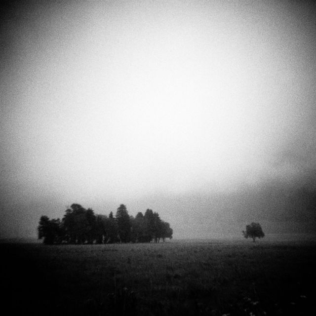 .
Diana
Bergger Pancro 400
Rodinal

#baad5eed #ishotfilm #analogphotography #grainisgood #bnwzone #bnw_switzerland #bnwphotography #bnw_magazine #bnwawards #filmbnw #filmphotomag #infilmwetrust #filmisnotdead #filmisbetter #blackandwhitephotographymag #shotitwithfilm #theanalogclub #deepblackmag #monochrome #monochromatic #monochromephotography #argentique #blackandwhitephotography #bnw #blackandwhite #photography #photooftheday #bnw_captures #schwarzweissfotografie #NDLP26