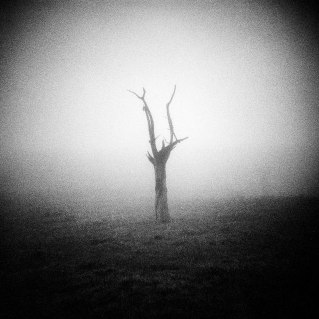 .
Diana
Bergger Pancro 400
Rodinal

#baad5eed #ishotfilm #analogphotography #grainisgood #bnwzone #bnw_switzerland #bnwphotography #bnw_magazine #bnwawards #filmbnw #filmphotomag #infilmwetrust #filmisnotdead #filmisbetter #blackandwhitephotographymag #shotitwithfilm #theanalogclub #deepblackmag #monochrome #monochromatic #monochromephotography #argentique #blackandwhitephotography #bnw #blackandwhite #photography #photooftheday #bnw_captures #schwarzweissfotografie #NDLP26