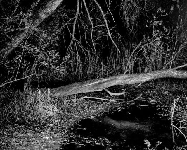 .
Nouveau site web <www.robertoromanophotography.com>

Et nouvelle série en cours...

Graflex Speed Graphic
Adox CHS 100 II
Rodinal

#baad5eed #ishotfilm #analogphotography #grainisgood #bnwzone #bnw_switzerland #bnwphotography #bnw_magazine #bnwawards #filmbnw #filmphotomag #infilmwetrust #filmisnotdead #filmisbetter #blackandwhitephotographymag #shotitwithfilm #theanalogclub #deepblackmag #monochrome #monochromatic #monochromephotography #argentique #blackandwhitephotography #bnw #blackandwhite #photography #photooftheday #bnw_captures #schwarzweissfotografie #NDLP26